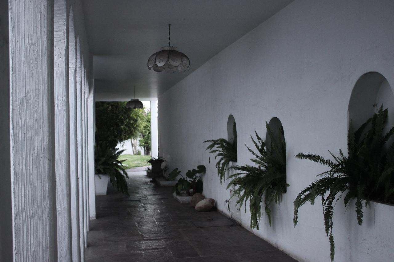 Allende 304 Vandrarhem Aguascalientes Exteriör bild